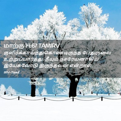 Picture 02 - மாற்கு 14:67 TAMIRV -  - Bible Verse Picture