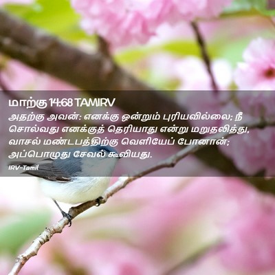 Picture 02 - மாற்கு 14:68 TAMIRV - அதற்கு அவன்: - Bible Verse Picture