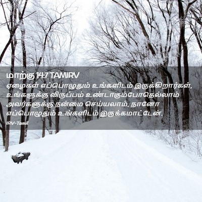 Picture 02 - மாற்கு 14:7 TAMIRV - ஏழைகள் - Bible Verse Picture