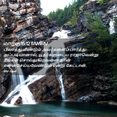 Picture 02 - மாற்கு 15:12 TAMIRV - பிலாத்து மீண்டும் - Bible Verse Picture