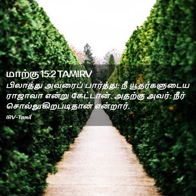 Picture 02 - மாற்கு 15:2 TAMIRV - பிலாத்து அவரைப் - Bible Verse Picture