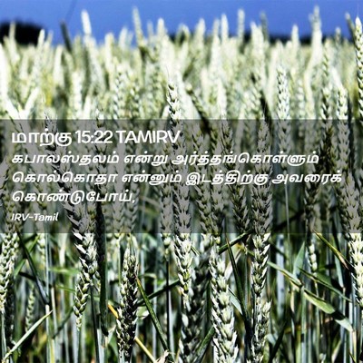 Picture 02 - மாற்கு 15:22 TAMIRV - கபாலஸ்தலம் என்று - Bible Verse Picture