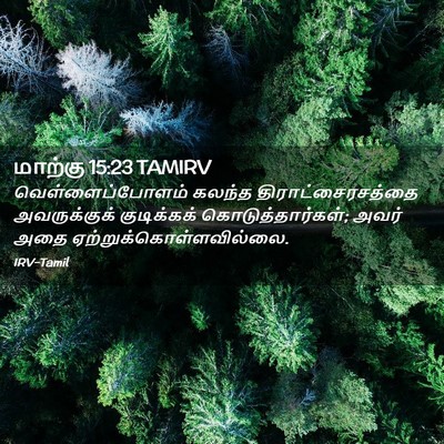 Picture 02 - மாற்கு 15:23 TAMIRV - வெள்ளைப்போளம் - Bible Verse Picture