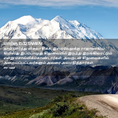 Picture 02 - மாற்கு 15:32 TAMIRV - நாம் பார்த்து - Bible Verse Picture