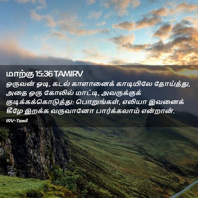 Picture 02 - மாற்கு 15:36 TAMIRV - ஒருவன் ஓடி, கடல் - Bible Verse Picture