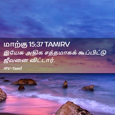 Picture 02 - மாற்கு 15:37 TAMIRV - இயேசு அதிக - Bible Verse Picture
