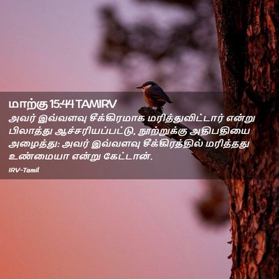 Picture 02 - மாற்கு 15:44 TAMIRV - அவர் இவ்வளவு - Bible Verse Picture