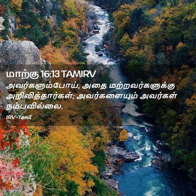 Picture 02 - மாற்கு 16:13 TAMIRV - அவர்களும்போய், - Bible Verse Picture