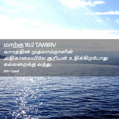 Picture 02 - மாற்கு 16:2 TAMIRV - வாரத்தின் - Bible Verse Picture