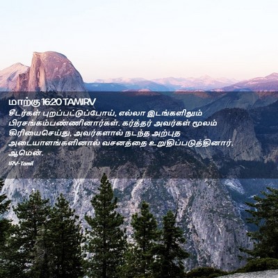 Picture 02 - மாற்கு 16:20 TAMIRV - சீடர்கள் - Bible Verse Picture