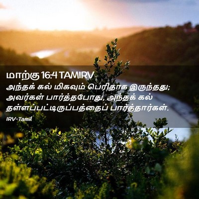 Picture 02 - மாற்கு 16:4 TAMIRV - அந்தக் கல் - Bible Verse Picture