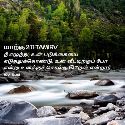 Picture 02 - மாற்கு 2:11 TAMIRV - நீ எழுந்து, உன் - Bible Verse Picture