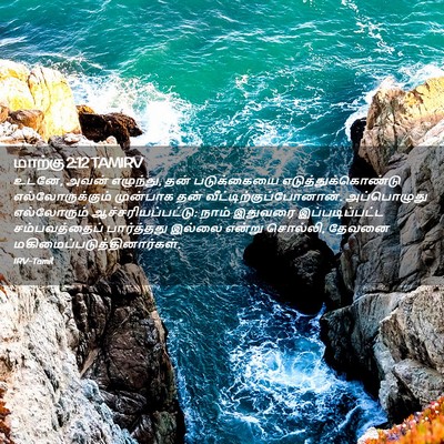 Picture 02 - மாற்கு 2:12 TAMIRV - உடனே, அவன் எழுந்து, - Bible Verse Picture