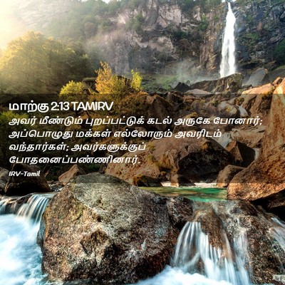 Picture 02 - மாற்கு 2:13 TAMIRV - அவர் மீண்டும் - Bible Verse Picture