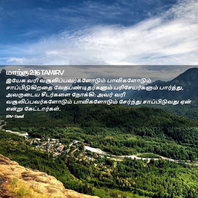 Picture 02 - மாற்கு 2:16 TAMIRV - இயேசு வரி - Bible Verse Picture