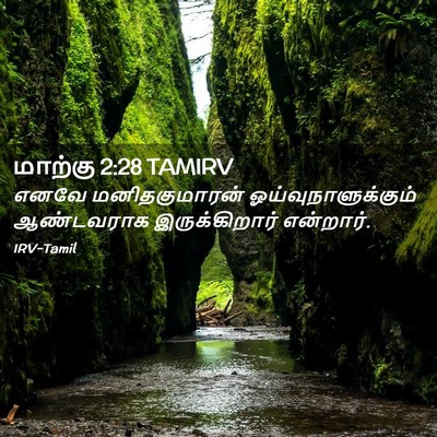 Picture 02 - மாற்கு 2:28 TAMIRV - எனவே மனிதகுமாரன் - Bible Verse Picture