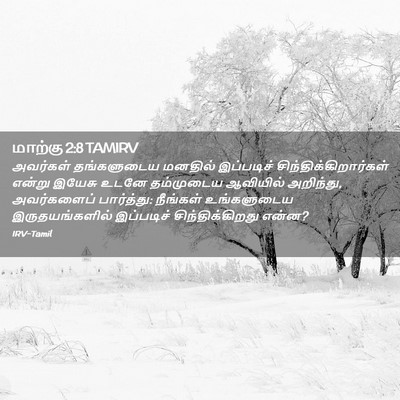 Picture 02 - மாற்கு 2:8 TAMIRV - அவர்கள் தங்களுடைய - Bible Verse Picture
