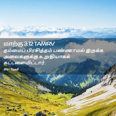 Picture 02 - மாற்கு 3:12 TAMIRV - தம்மைப் - Bible Verse Picture