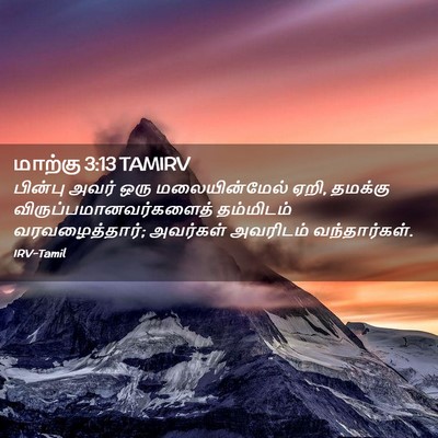 Picture 02 - மாற்கு 3:13 TAMIRV - பின்பு அவர் ஒரு - Bible Verse Picture