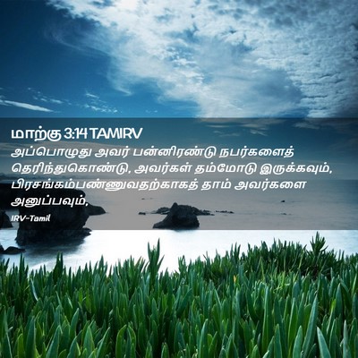 Picture 02 - மாற்கு 3:14 TAMIRV - அப்பொழுது அவர் - Bible Verse Picture