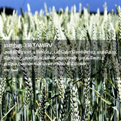 Picture 02 - மாற்கு 3:18 TAMIRV - அந்திரேயா, - Bible Verse Picture