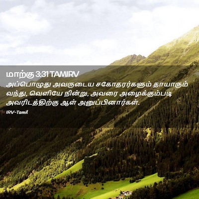 Picture 02 - மாற்கு 3:31 TAMIRV - அப்பொழுது அவருடைய - Bible Verse Picture