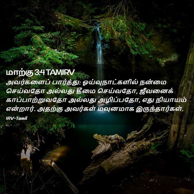 Picture 02 - மாற்கு 3:4 TAMIRV - அவர்களைப் - Bible Verse Picture
