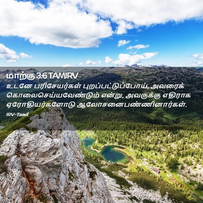 Picture 02 - மாற்கு 3:6 TAMIRV - உடனே பரிசேயர்கள் - Bible Verse Picture