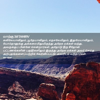 Picture 02 - மாற்கு 3:8 TAMIRV - கலிலேயாவிலும், - Bible Verse Picture