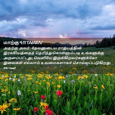 Picture 02 - மாற்கு 4:11 TAMIRV - அதற்கு அவர்: - Bible Verse Picture