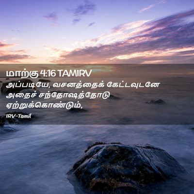 Picture 02 - மாற்கு 4:16 TAMIRV - அப்படியே, - Bible Verse Picture