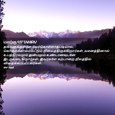 Picture 02 - மாற்கு 4:17 TAMIRV - தங்களுக்குள்ளே - Bible Verse Picture