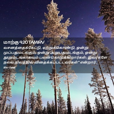 Picture 02 - மாற்கு 4:20 TAMIRV - வசனத்தைக்கேட்டு, - Bible Verse Picture