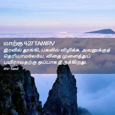 Picture 02 - மாற்கு 4:27 TAMIRV - இரவில் தூங்கி, - Bible Verse Picture