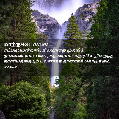 Picture 02 - மாற்கு 4:28 TAMIRV - எப்படியென்றால், - Bible Verse Picture