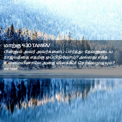 Picture 02 - மாற்கு 4:30 TAMIRV - பின்னும் அவர் - Bible Verse Picture