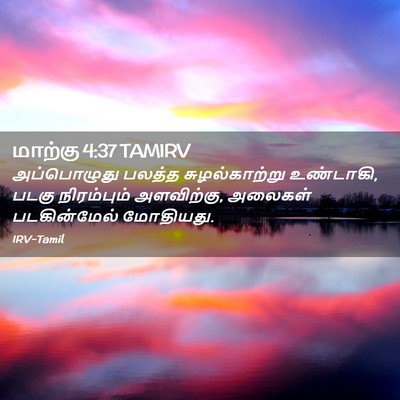 Picture 02 - மாற்கு 4:37 TAMIRV - அப்பொழுது பலத்த - Bible Verse Picture