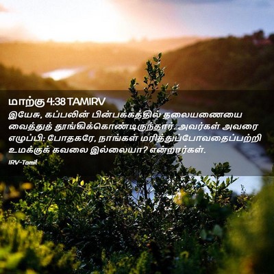 Picture 02 - மாற்கு 4:38 TAMIRV - இயேசு, கப்பலின் - Bible Verse Picture