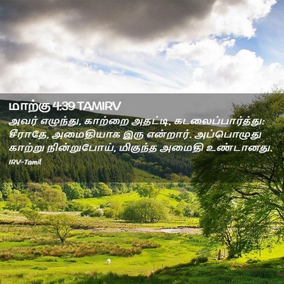 Picture 02 - மாற்கு 4:39 TAMIRV - அவர் எழுந்து, - Bible Verse Picture