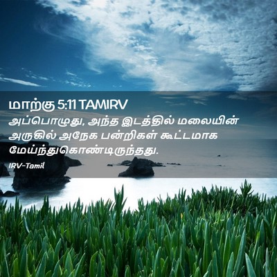 Picture 02 - மாற்கு 5:11 TAMIRV - அப்பொழுது, அந்த - Bible Verse Picture