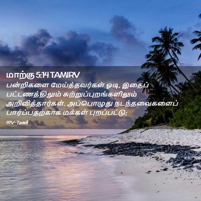 Picture 02 - மாற்கு 5:14 TAMIRV - பன்றிகளை - Bible Verse Picture