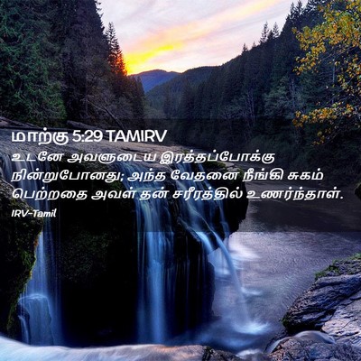 Picture 02 - மாற்கு 5:29 TAMIRV - உடனே அவளுடைய - Bible Verse Picture