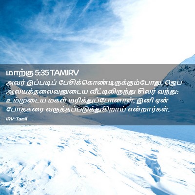 Picture 02 - மாற்கு 5:35 TAMIRV - அவர் இப்படிப் - Bible Verse Picture