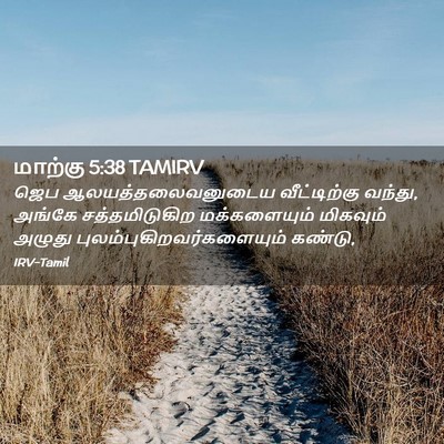 Picture 02 - மாற்கு 5:38 TAMIRV - ஜெப - Bible Verse Picture