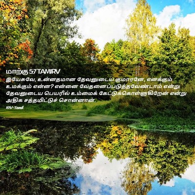 Picture 02 - மாற்கு 5:7 TAMIRV - இயேசுவே, உன்னதமான - Bible Verse Picture