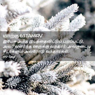 Picture 02 - மாற்கு 6:1 TAMIRV - இயேசு அந்த - Bible Verse Picture