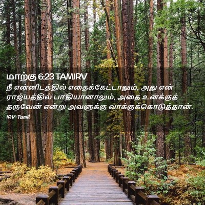 Picture 02 - மாற்கு 6:23 TAMIRV - நீ என்னிடத்தில் - Bible Verse Picture