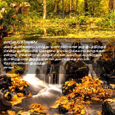 Picture 02 - மாற்கு 6:31 TAMIRV - அவர் அவர்களைப் - Bible Verse Picture