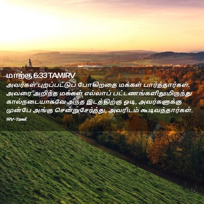 Picture 02 - மாற்கு 6:33 TAMIRV - அவர்கள் - Bible Verse Picture