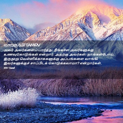 Picture 02 - மாற்கு 6:37 TAMIRV - அவர் அவர்களைப் - Bible Verse Picture